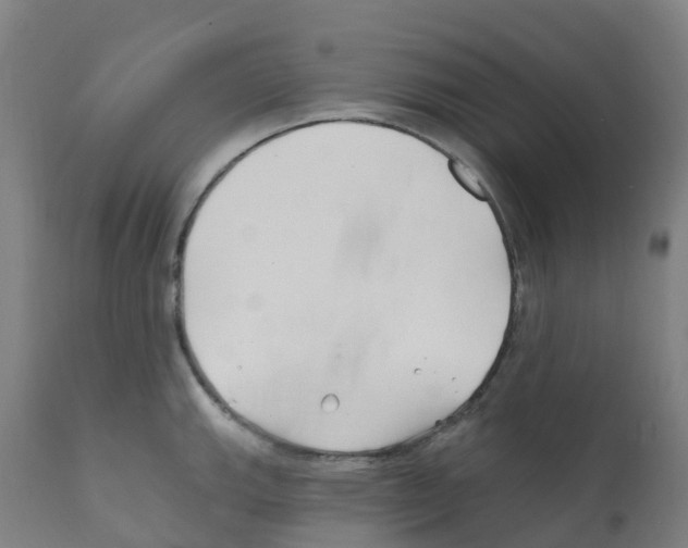 X0000112391143200909241232