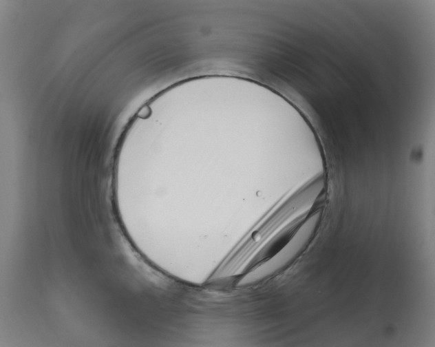 X0000112391144200909241232