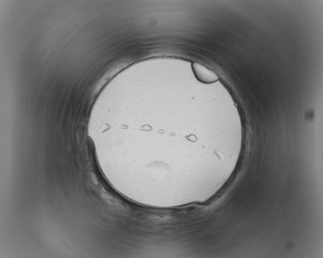 X0000112391145200909241232