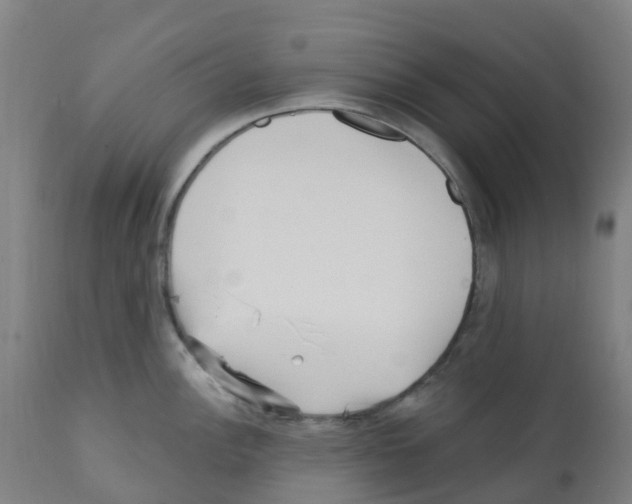 X0000112391148200909241232