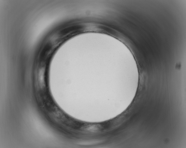X0000112391150200909241232