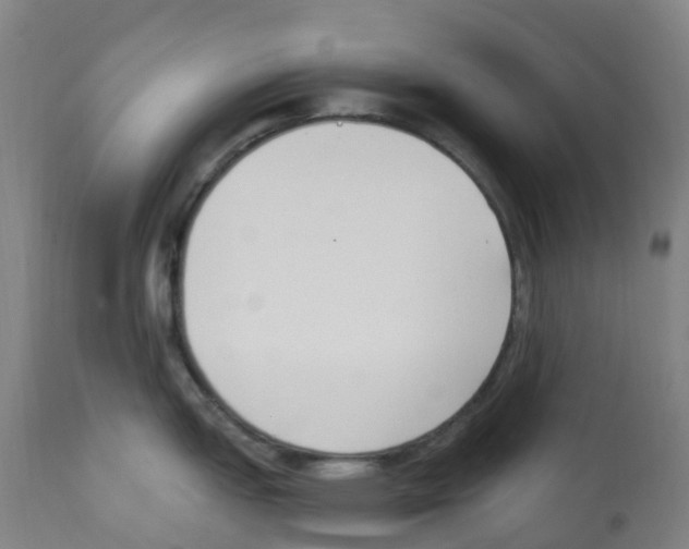 X0000112391151200909241232