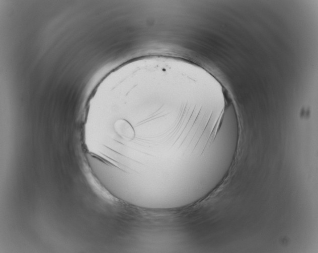 X0000112391152200909241232