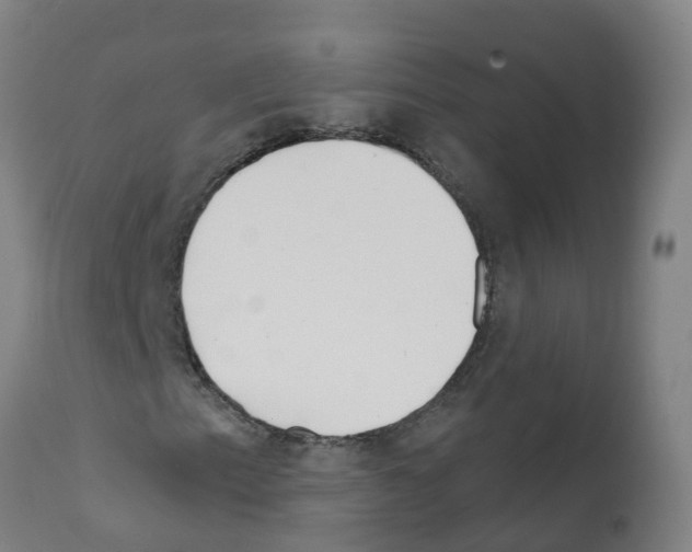 X0000112391153200909241232