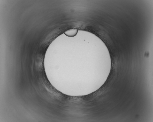 X0000112391154200909241232