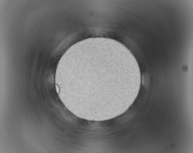 X0000112391155200909241232