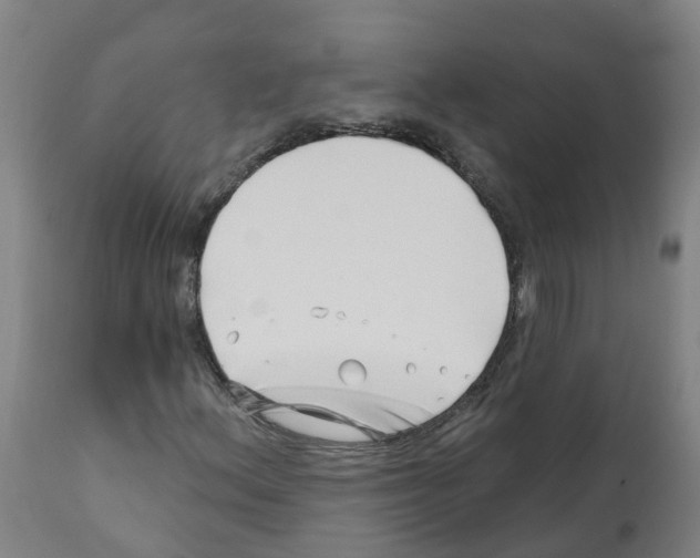X0000112391156200909241232