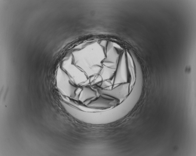 X0000112391157200909241232