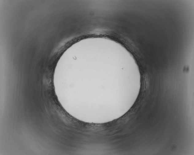 X0000112391158200909241232