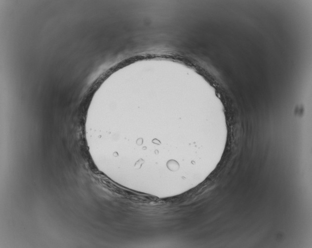 X0000112391160200909241232