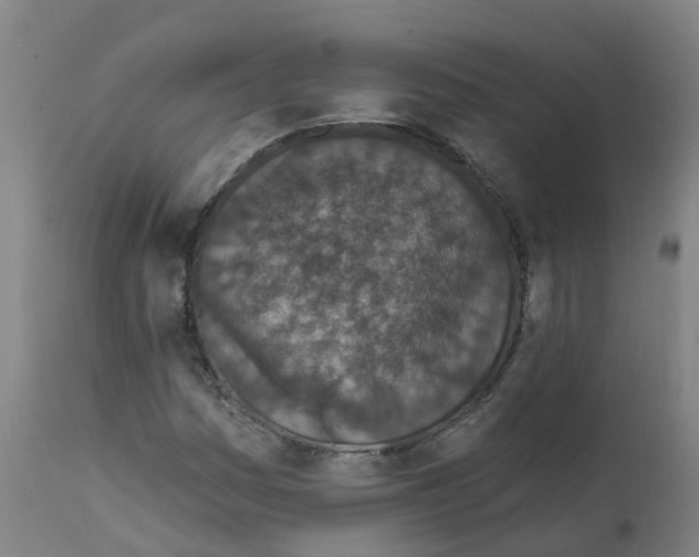 X0000112391161200909241232