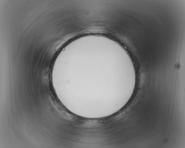 X0000112391162200909241232