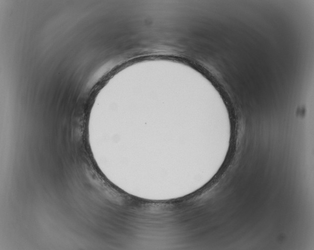 X0000112391163200909241232
