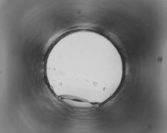 X0000112391164200909241232
