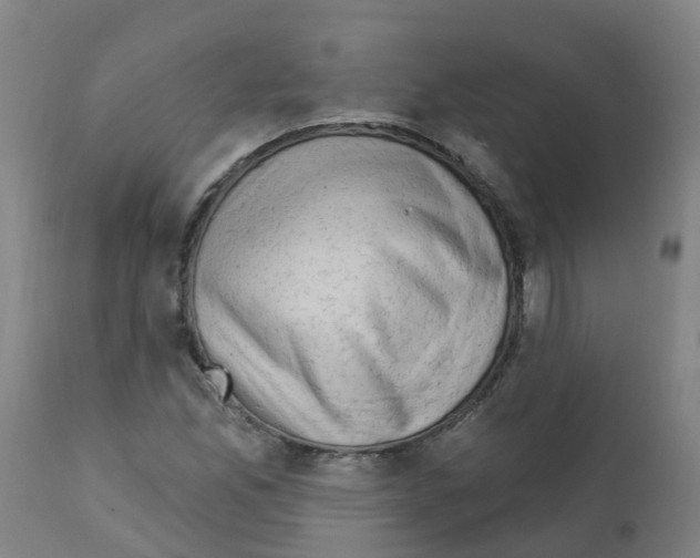 X0000112391165200909241232