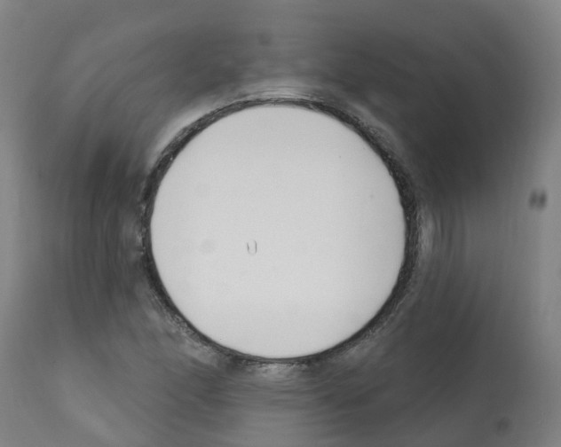 X0000112391166200909241232
