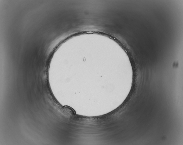 X0000112391167200909241232