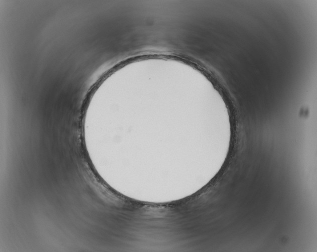 X0000112391168200909241232