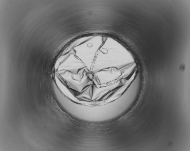 X0000112391169200909241232