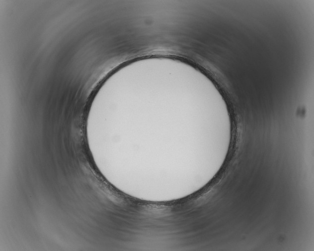 X0000112391170200909241232