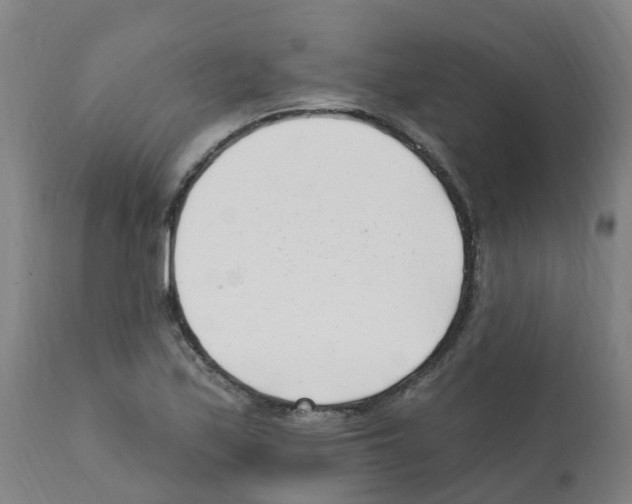 X0000112391171200909241232