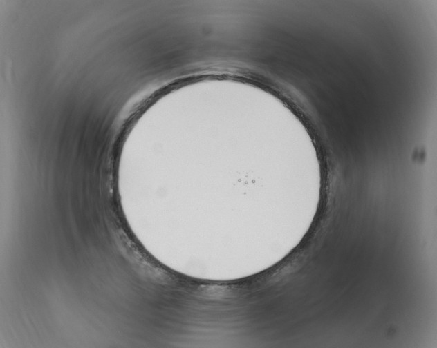 X0000112391172200909241232