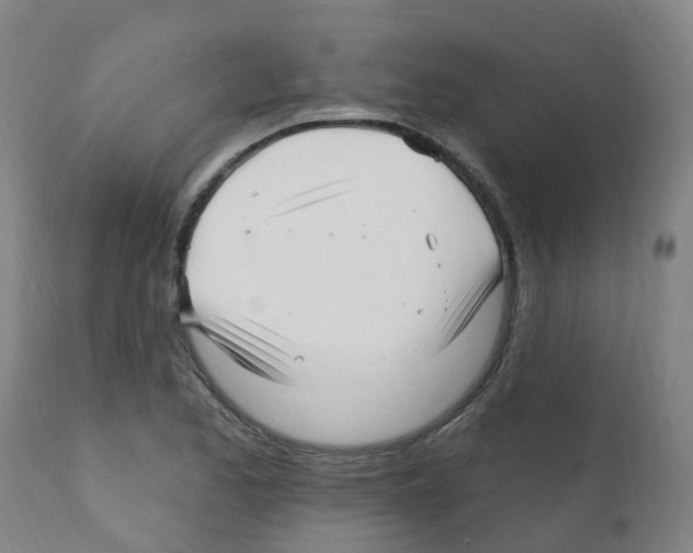 X0000112391173200909241232
