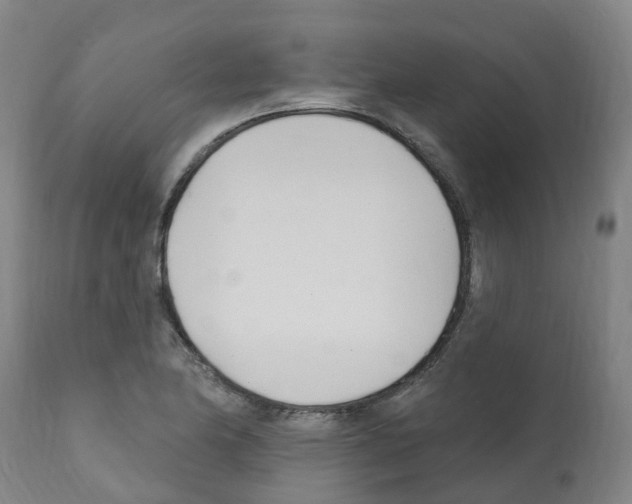 X0000112391174200909241232