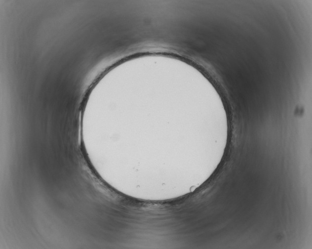 X0000112391175200909241231