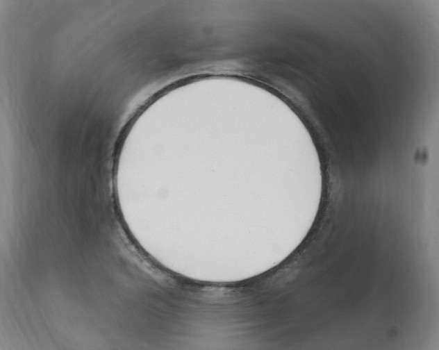 X0000112391176200909241231