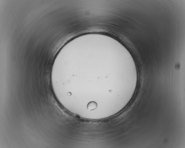 X0000112391177200909241231