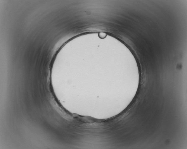 X0000112391179200909241231