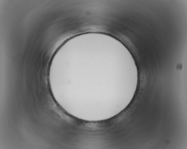 X0000112391182200909241231