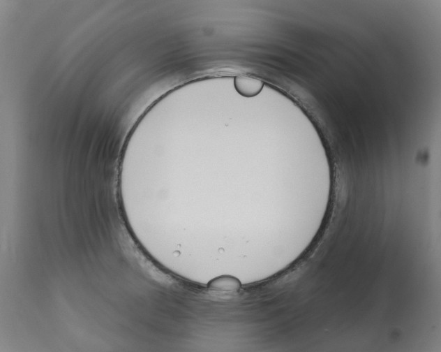 X0000112391186200909241231