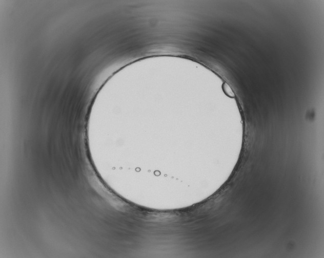 X0000112391187200909241231