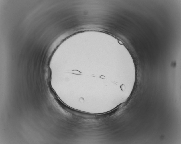X0000112391188200909241231