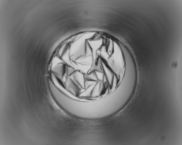 X0000112391189200909241231