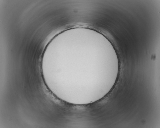 X0000112391190200909241231
