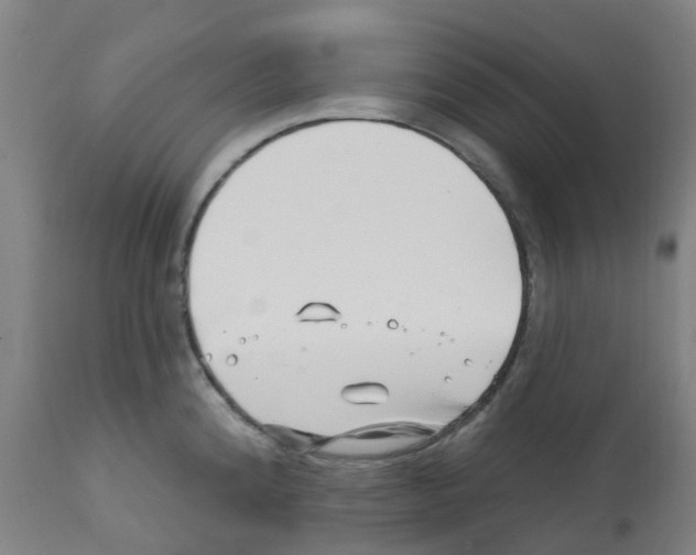 X0000112391192200909241231