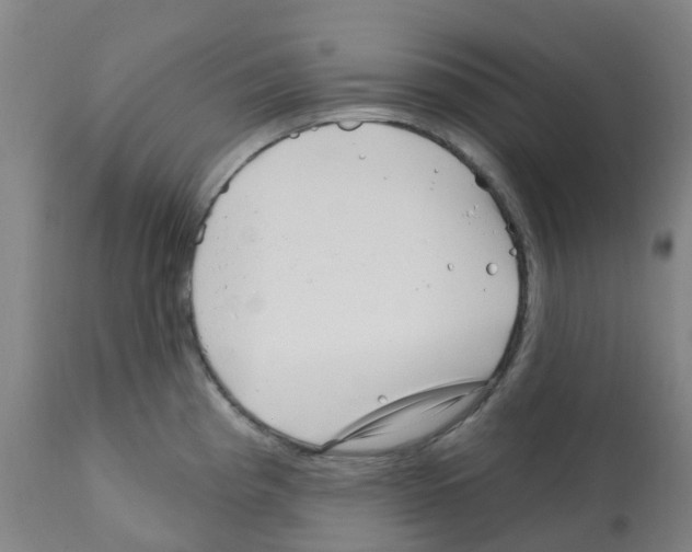X0000112391193200909241231