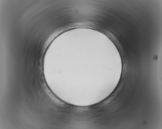X0000112391196200909241231