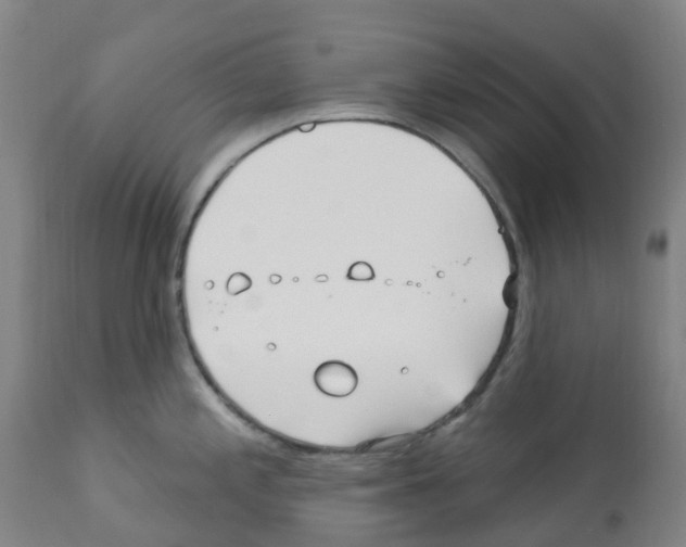 X0000112391197200909241231