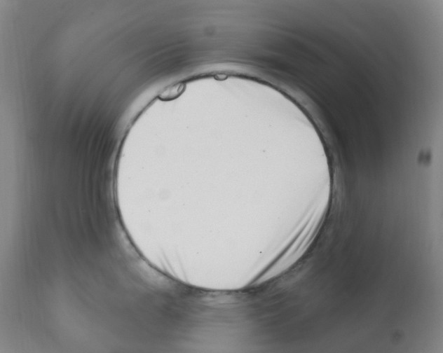X0000112391199200909241231