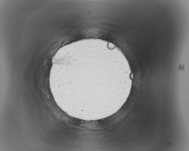 X0000112391201200909241230