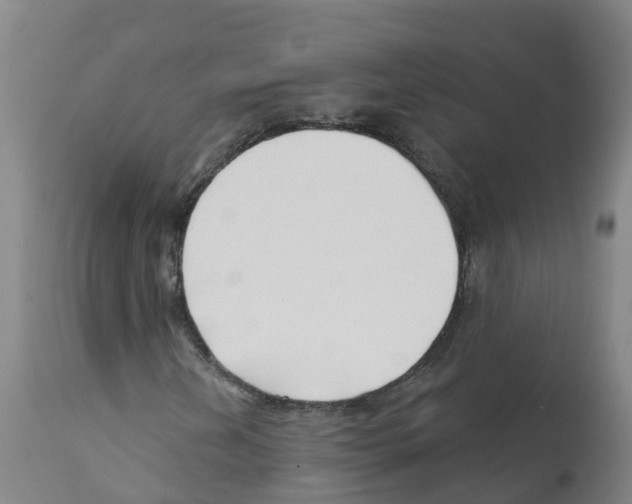X0000112391202200909241231