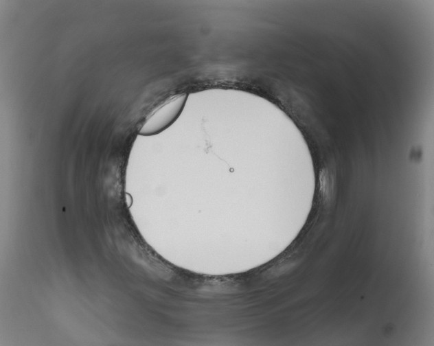X0000112391203200909241231