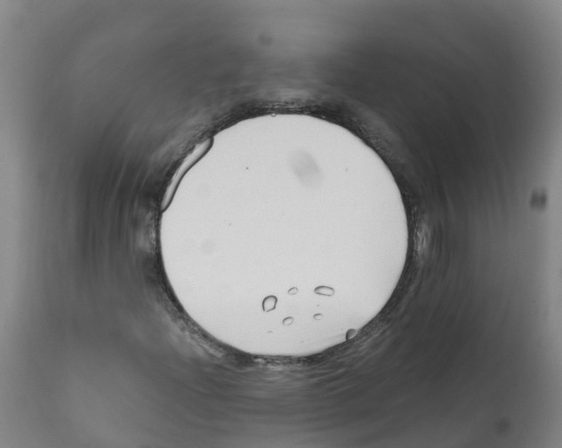 X0000112391204200909241231