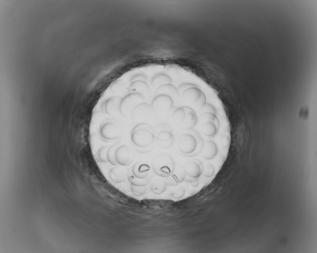 X0000112391205200909241231