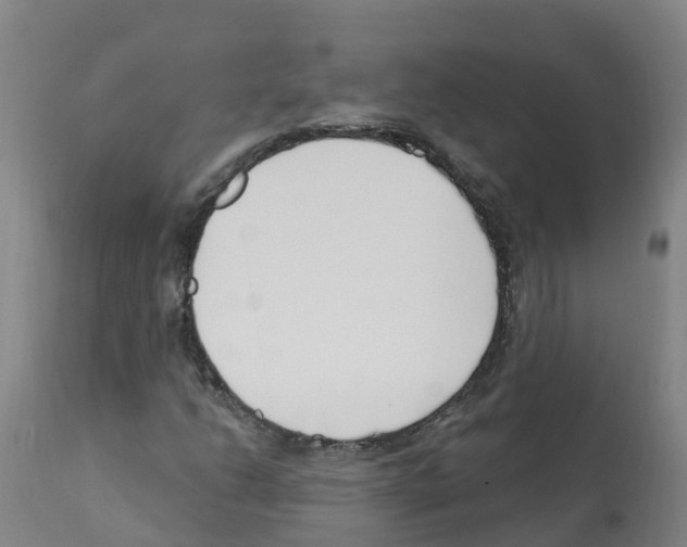 X0000112391206200909241231