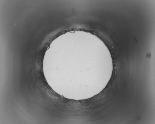 X0000112391207200909241231